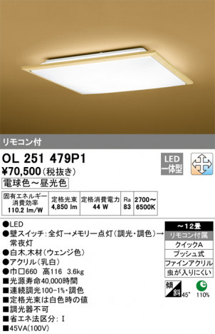 ODELIC �����ǥ�å� ������󥰥饤�� OL251479P1 �ᥤ��̿�