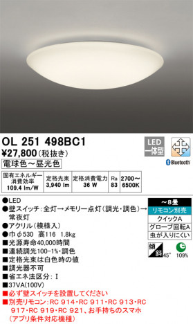 ODELIC �����ǥ�å� ������󥰥饤�� OL251498BC1 �ᥤ��̿�