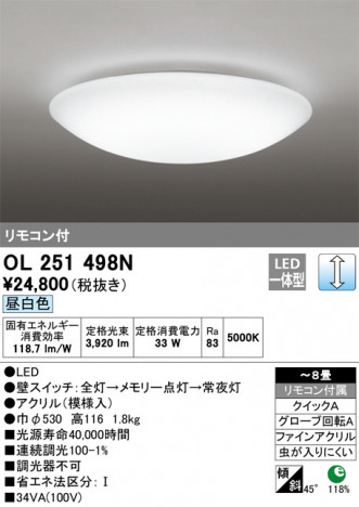 ODELIC �����ǥ�å� ������󥰥饤�� OL251498N �ᥤ��̿�