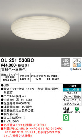 ODELIC �����ǥ�å� ������󥰥饤�� OL251530BC �ᥤ��̿�