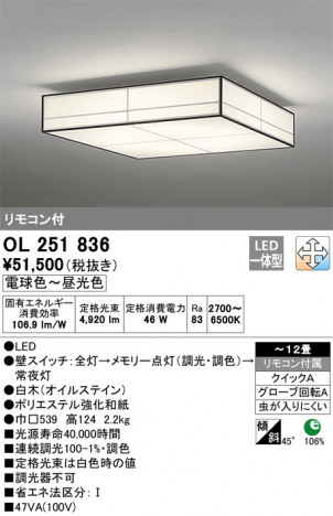 ODELIC �����ǥ�å� ������󥰥饤�� OL251836 �ᥤ��̿�