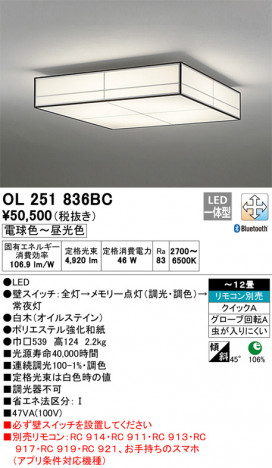 ODELIC �����ǥ�å� ������󥰥饤�� OL251836BC �ᥤ��̿�