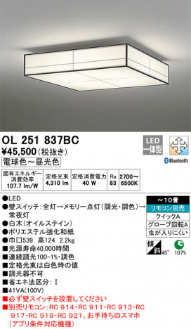 ODELIC �����ǥ�å� ������󥰥饤�� OL251837BC �ᥤ��̿�