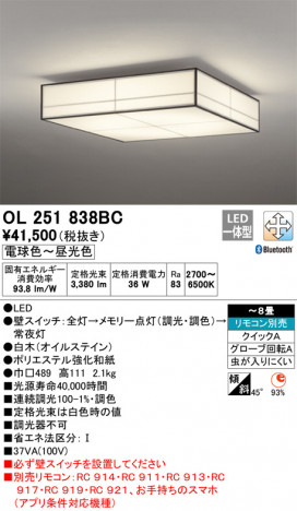 ODELIC �����ǥ�å� ������󥰥饤�� OL251838BC �ᥤ��̿�