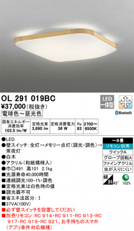 ODELIC �����ǥ�å� ������󥰥饤�� OL291019BC �ᥤ��̿�