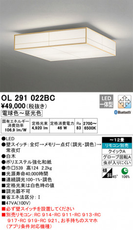 ODELIC �����ǥ�å� ������󥰥饤�� OL291022BC �ᥤ��̿�