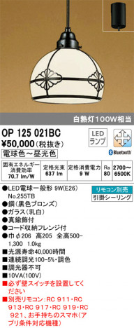 ODELIC �����ǥ�å� �ڥ����ȥ饤�� OP125021BC �ᥤ��̿�