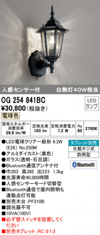 ODELIC ǥå ƥꥢ饤 OG254841BC ᥤ̿