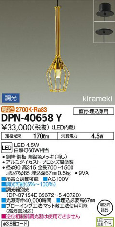 ���ʼ̿� | DAIKO ����ŵ� �ڥ����� DPN-40658Y | ���������̿����䡦����ƥꥢ���������Ρڥ饤�ȥ��������