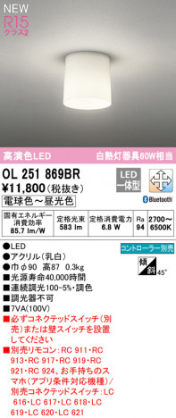 ODELIC �����ǥ�å� ����������󥰥饤�� OL251869BR �ᥤ��̿�