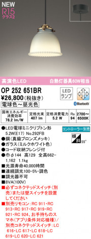 ODELIC �����ǥ�å� �ڥ����ȥ饤�� OP252651BR �ᥤ��̿�