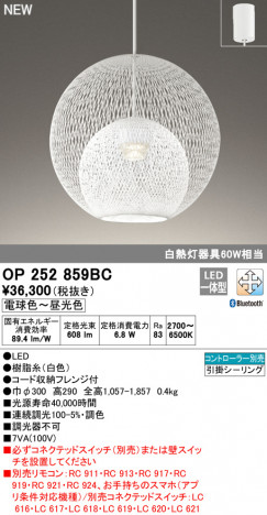 ODELIC �����ǥ�å� �ڥ����ȥ饤�� OP252859BC �ᥤ��̿�