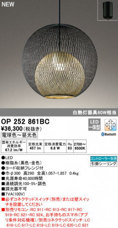 ODELIC �����ǥ�å� �ڥ����ȥ饤�� OP252861BC �ᥤ��̿�