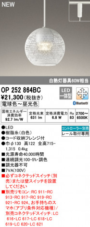 ODELIC �����ǥ�å� �ڥ����ȥ饤�� OP252864BC �ᥤ��̿�