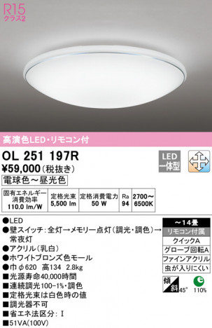 ODELIC �����ǥ�å� ������󥰥饤�� OL251197R �ᥤ��̿�