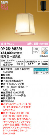 ODELIC �����ǥ�å� �ڥ����ȥ饤�� OP252565BR1 �ᥤ��̿�