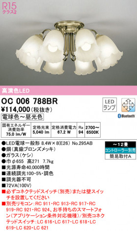 ODELIC �����ǥ�å� �����ǥꥢ OC006788BR �ᥤ��̿�