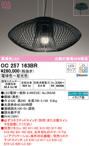 ODELIC �����ǥ�å� �ڥ����ȥ饤�� OC257163BR �ᥤ��̿�