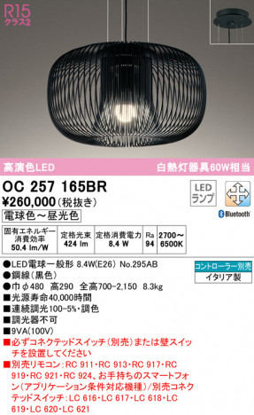 ODELIC �����ǥ�å� �ڥ����ȥ饤�� OC257165BR �ᥤ��̿�