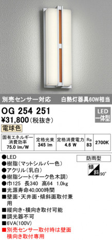 ODELIC �����ǥ�å� �������ƥꥢ�饤�� OG254251 �ᥤ��̿�