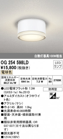 ODELIC ǥå ƥꥢ饤 OG254598LD ᥤ̿