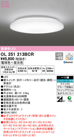 ODELIC �����ǥ�å� ������󥰥饤�� OL251213BCR �ᥤ��̿�