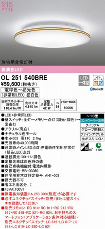 ODELIC �����ǥ�å� ������󥰥饤�� OL251540BRE �ᥤ��̿�