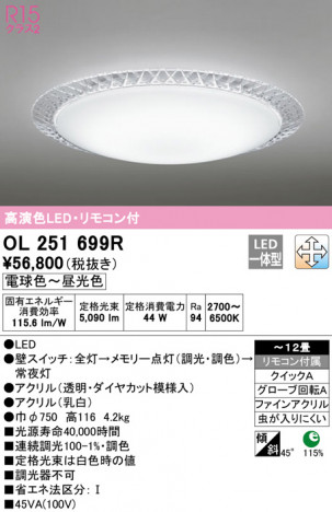 ODELIC ǥå 󥰥饤 OL251699R ᥤ̿