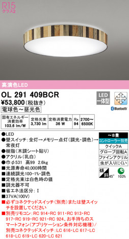 ODELIC �����ǥ�å� ������󥰥饤�� OL291409BCR �ᥤ��̿�