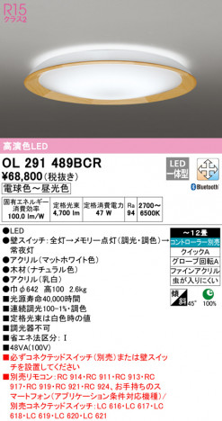 ODELIC �����ǥ�å� ������󥰥饤�� OL291489BCR �ᥤ��̿�