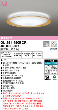 ODELIC �����ǥ�å� ������󥰥饤�� OL291490BCR �ᥤ��̿�