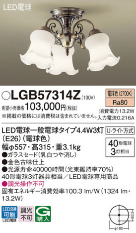 Panasonic ǥꥢ LGB57314Z ᥤ̿