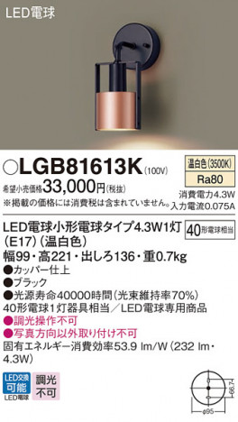 Panasonic ֥饱å LGB81613K ᥤ̿
