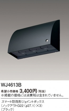 Panasonic ޡɱ祤ȥܥå WJ4613B ᥤ̿