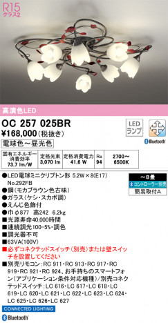 ODELIC ǥå ǥꥢ OC257025BR ᥤ̿