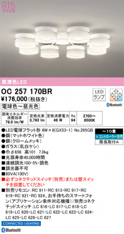 ODELIC ǥå ǥꥢ OC257170BR ᥤ̿