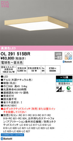 ODELIC ǥå 󥰥饤 OL291515BR ᥤ̿