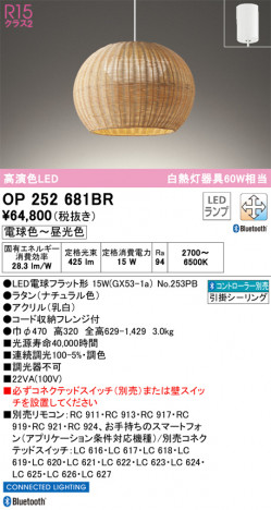 ODELIC �����ǥ�å� �ڥ����ȥ饤�� OP252681BR �ᥤ��̿�