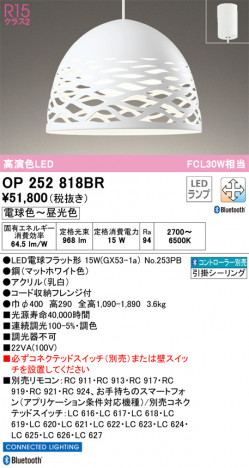 ODELIC �����ǥ�å� �ڥ����ȥ饤�� OP252818BR �ᥤ��̿�