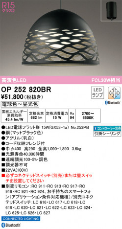 ODELIC �����ǥ�å� �ڥ����ȥ饤�� OP252820BR �ᥤ��̿�