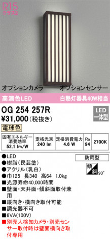 ODELIC ǥå ƥꥢ饤 OG254257R ᥤ̿