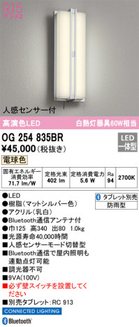 ODELIC �����ǥ�å� �������ƥꥢ�饤�� OG254835BR �ᥤ��̿�