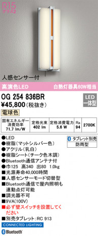 ODELIC �����ǥ�å� �������ƥꥢ�饤�� OG254836BR �ᥤ��̿�