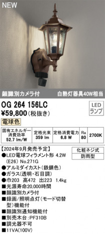 ODELIC �����ǥ�å� LED �������ƥꥢ�饤�� OG264156LC �ᥤ��̿�