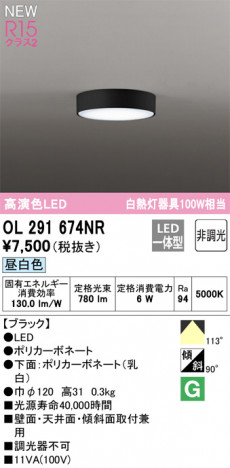ODELIC ǥå LED 󥰥饤 OL291674NR ᥤ̿