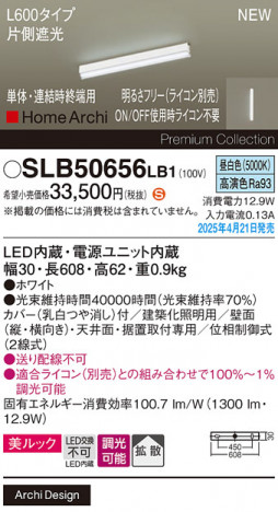 Panasonic ۲ SLB50656LB1 ᥤ̿