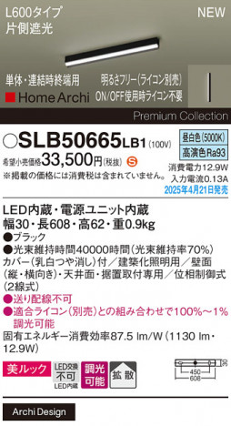 Panasonic ۲ SLB50665LB1 ᥤ̿
