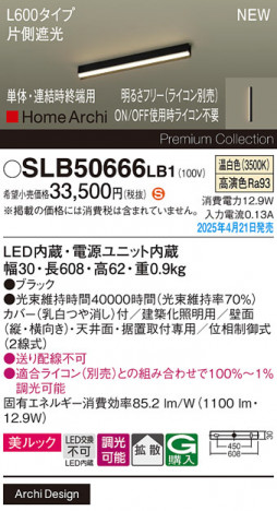 Panasonic ۲ SLB50666LB1 ᥤ̿