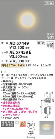 β Koizumi ߾  AE57458E