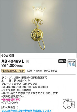 β Koizumi ߾ LED֥饱å AB40489L